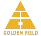 Golden Field